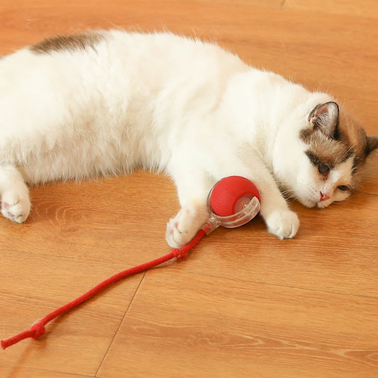 2/1PCS Interactive Automatic Rolling Ball Cat & Dog Toys