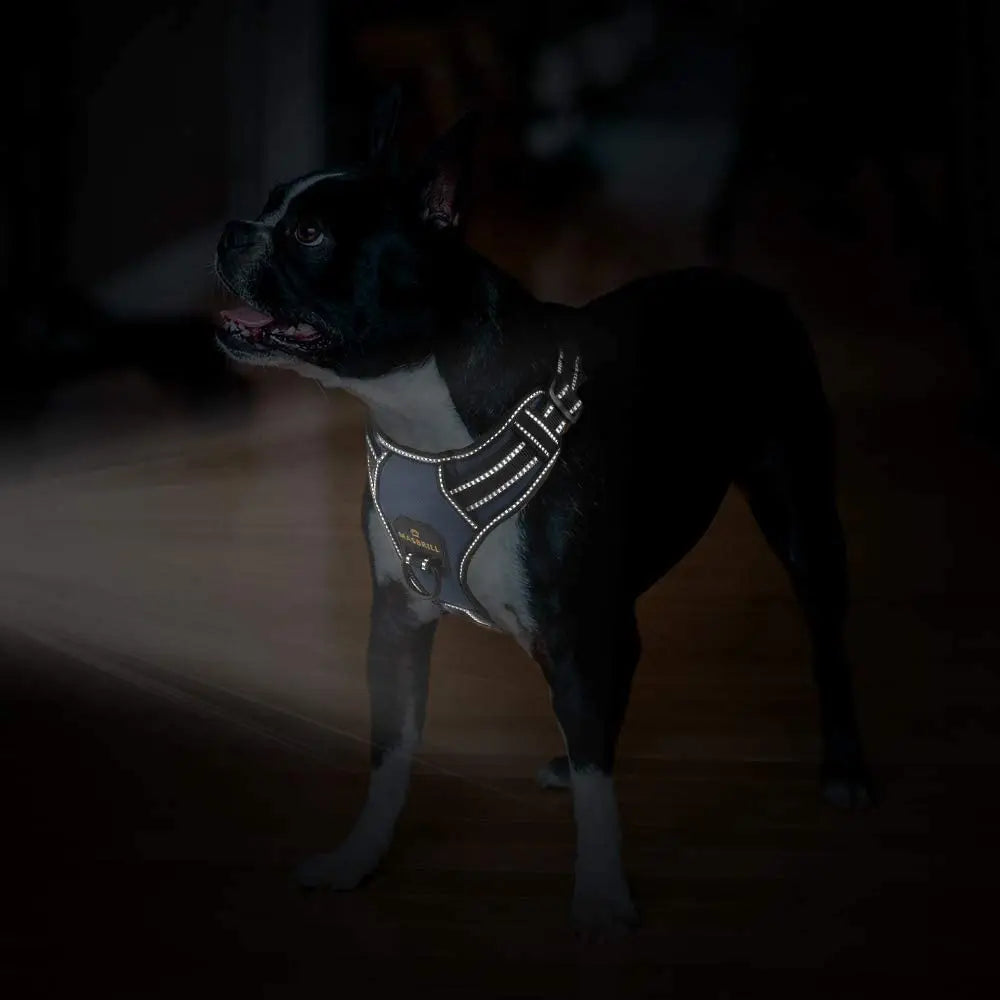 MASBRILL No-Pull Adjustable Dog Harness: