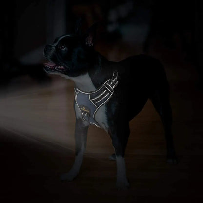 MASBRILL No-Pull Adjustable Dog Harness: